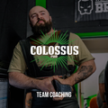 Team Coaching